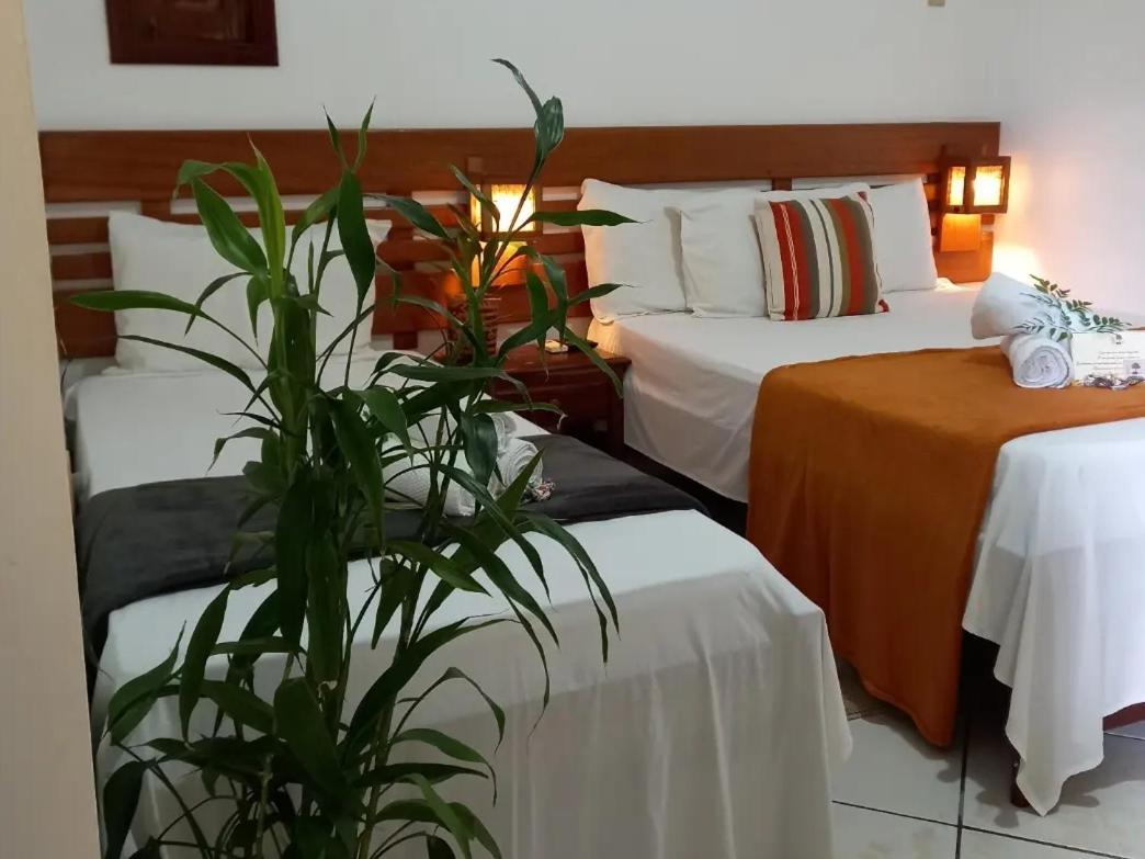 Pousada Sombra Do Cajueiro Alter do Chão Phòng bức ảnh