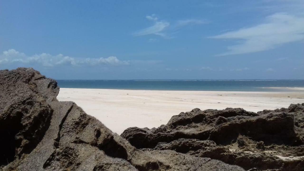 Pousada Sombra Do Cajueiro Alter do Chão Ngoại thất bức ảnh
